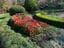 The E. G. Waterhouse National Camellia Gardens High Tea Lunch Image -648cef7c72268